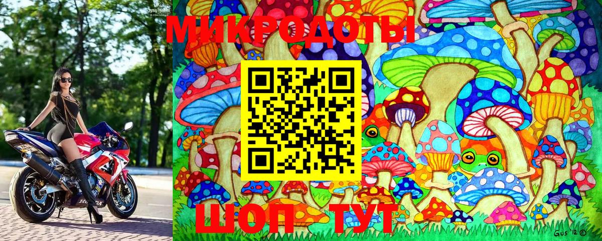 Тольятти  Псилоцибиновые грибы MAGIC MUSHROOMS  дарнет шоп  Вход с VPN 